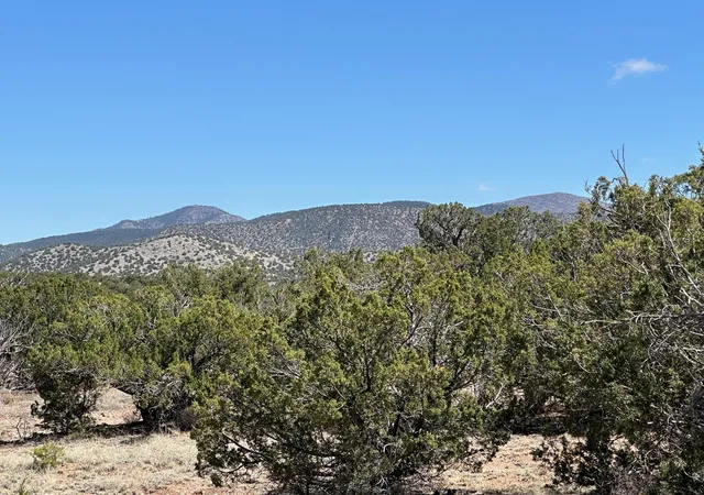 Homes for sale in Sandia Park, NM | 62 Turquoise Dr, Sandia Park, NM 87047 | MLS# 1091505