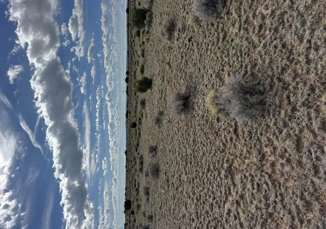 Homes for sale in Fence Lake, NM | Lot 130 Jolly Time Ln, Fence Lake, NM 87315 | MLS# 1091460