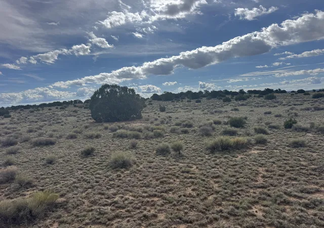 Homes for sale in Fence Lake, NM | Lot 130 Jolly Time Ln, Fence Lake, NM 87315 | MLS# 1091460