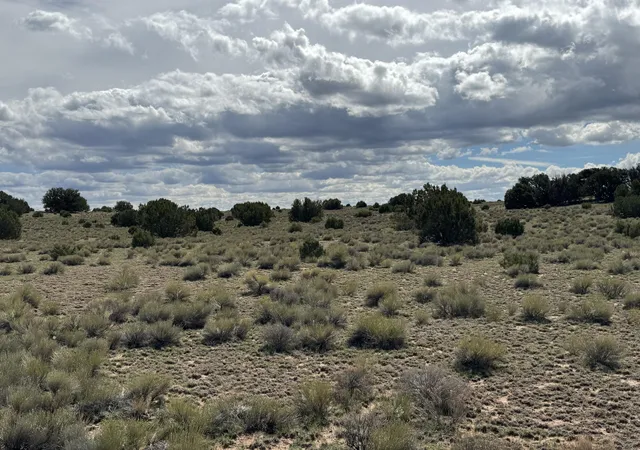 Homes for sale in Fence Lake, NM | Lot 130 Jolly Time Ln, Fence Lake, NM 87315 | MLS# 1091460