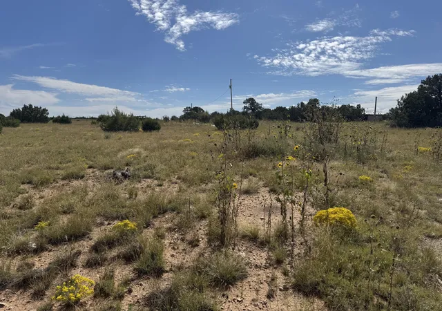Photo 2 of Land for sale at 296 Pohl Rd, Tijeras, NM 87059 | MLS# 1091691 | Listing updated on 2026-07-22