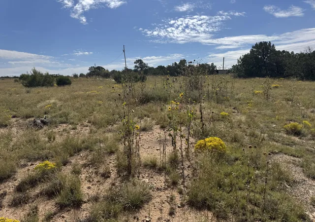Photo 2 of Land for sale at 296 Pohl Rd, Tijeras, NM 87059 | MLS# 1091691 | Listing updated on 2026-07-22