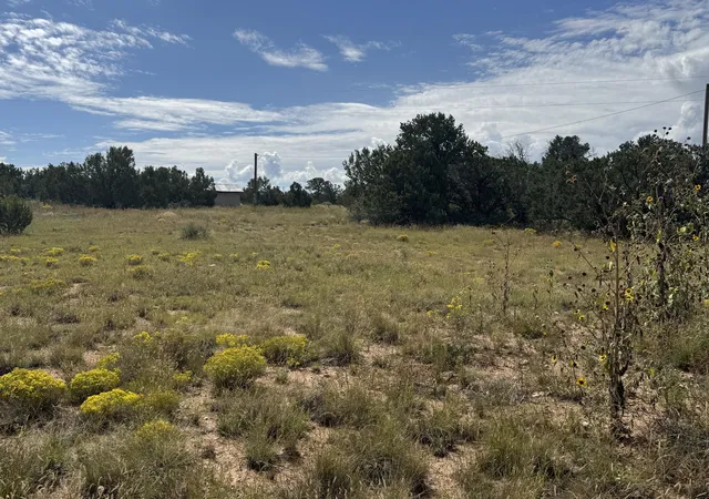 Photo 4 of Land for sale at 296 Pohl Rd, Tijeras, NM 87059 | MLS# 1091691 | Listing updated on 2026-07-22