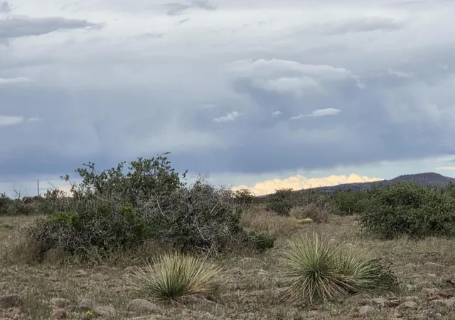 5th image of Vl Willow Springs Ranch Lot 2-9, San Antonio, NM 87832 | MLS# 1092073
