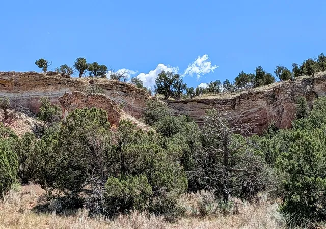 Photo 1 of Land for sale at 86 Victorio Trl, Mountainair, NM 87036 | MLS# 1092079 | Listing updated on 2026-07-21