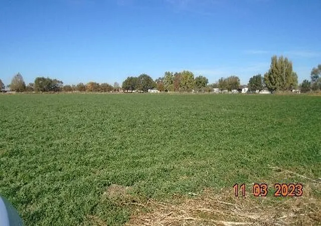 14th image of 0 Barrares Trail, Los Lunas, NM 87031 | MLS# 1092230