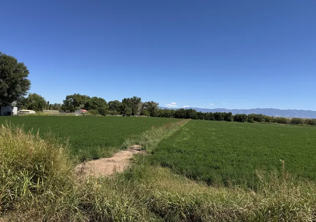 4th image of 0 Barrares Trail, Los Lunas, NM 87031 | MLS# 1092230