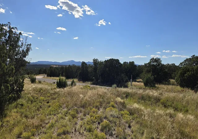 Photo 1 of Land for sale at Lot 15 Swayback Trail, Corona, NM 88318 | MLS# 1092401 | Listing updated on 2026-08-24