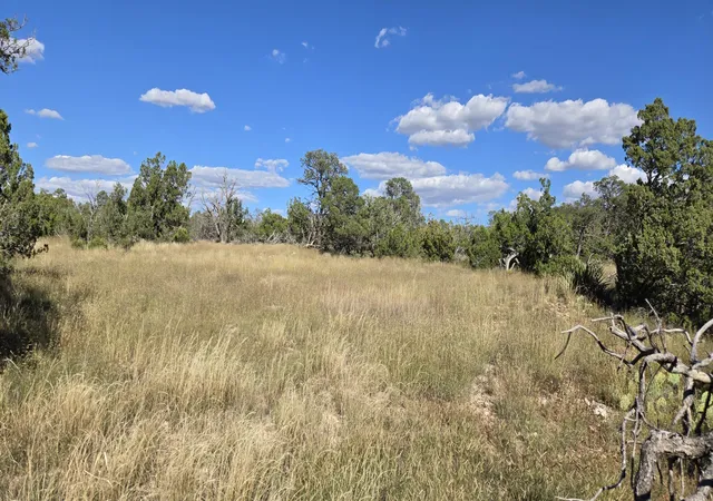 Photo 3 of Land for sale at Lot 15 Swayback Trail, Corona, NM 88318 | MLS# 1092401 | Listing updated on 2026-08-24