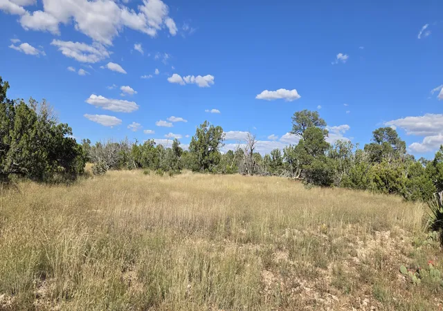 Photo 4 of Land for sale at Lot 15 Swayback Trail, Corona, NM 88318 | MLS# 1092401 | Listing updated on 2026-08-24
