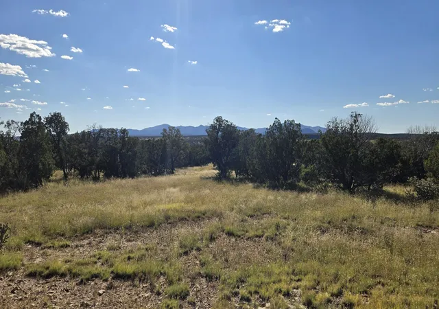 Photo 5 of Land for sale at Lot 15 Swayback Trail, Corona, NM 88318 | MLS# 1092401 | Listing updated on 2026-08-24
