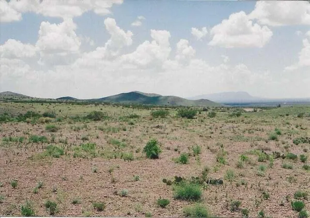 Homes for sale in San Antonio, NM | Willow Springs Ranch Lot: 35, San Antonio, NM 87832 | MLS# 1092452