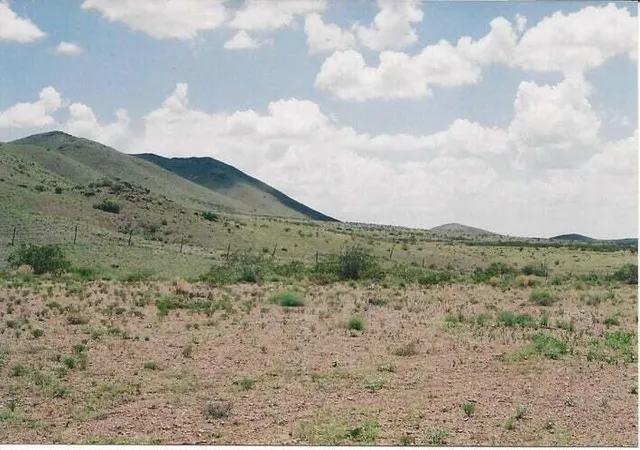 Homes for sale in San Antonio, NM | Willow Springs Ranch Lot: 35, San Antonio, NM 87832 | MLS# 1092452