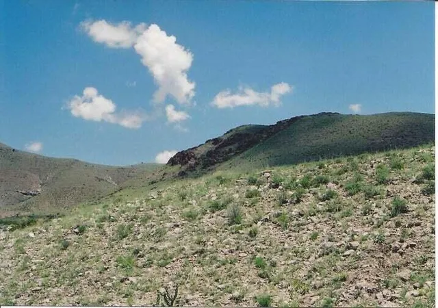 Homes for sale in San Antonio, NM | Willow Springs Ranch Lot: 35, San Antonio, NM 87832 | MLS# 1092452