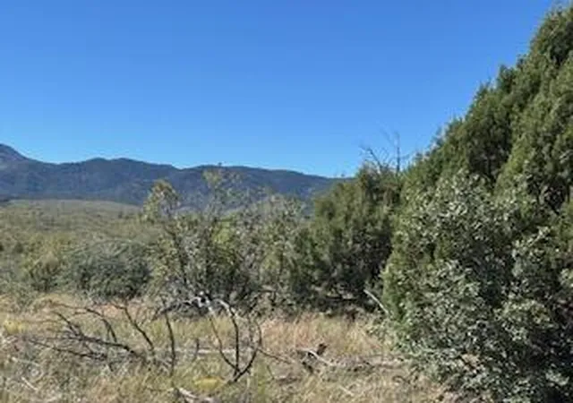 16th image of Capilla Peak Rd, Manzano, NM 87016 | MLS# 1093137