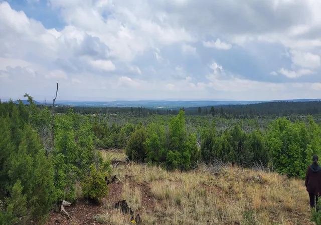 3rd image of Capilla Peak Rd, Manzano, NM 87016 | MLS# 1093137
