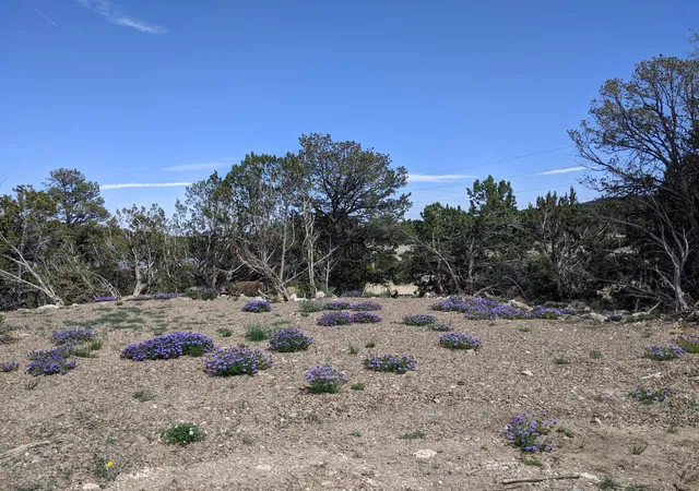 Photo 4 of Land for sale at Tarn Rd, Edgewood, NM 87015 | MLS# 1093443 | Listing updated on 2026-07-21