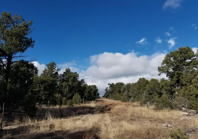 3rd image of Tbd Pecos, Pecos, NM 87552 | MLS# 1093581