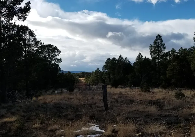 4th image of Tbd Pecos, Pecos, NM 87552 | MLS# 1093581