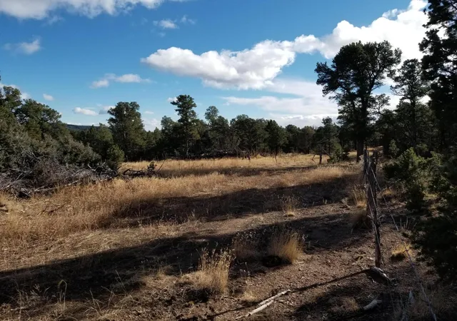 5th image of Tbd Pecos, Pecos, NM 87552 | MLS# 1093581