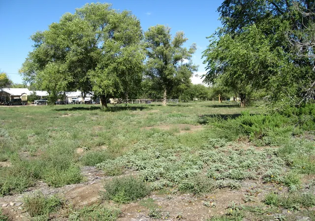 5th image of 00 Forgotten Promise Tr2 Ln, Peralta, NM 87042 | MLS# 1093629