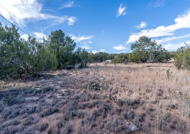 Photo 55 of Land for sale at 44 Orion View Trl, Edgewood, NM 87015 | MLS# 1094309 | Listing updated on 2026-07-25
