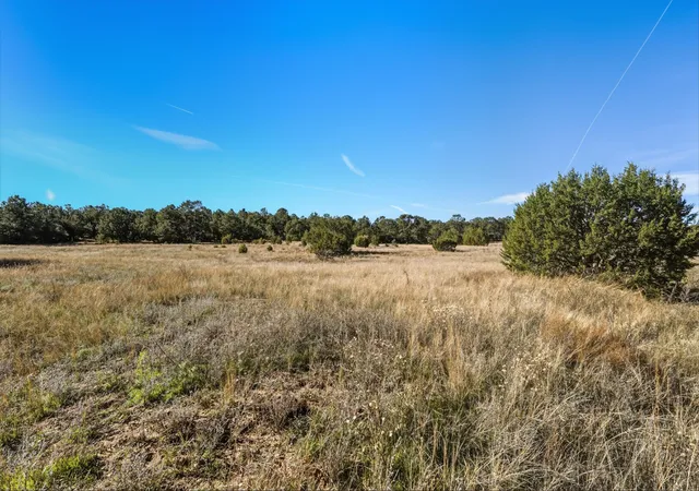 Photo 2 of Land for sale at 25 Holiday, Tijeras, NM 87059 | MLS# 1094451 | Listing updated on 2026-07-21