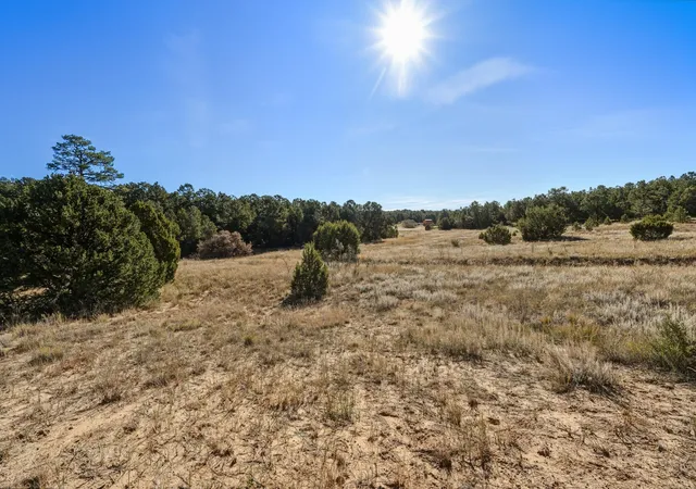 Photo 3 of Land for sale at 25 Holiday, Tijeras, NM 87059 | MLS# 1094451 | Listing updated on 2026-07-21