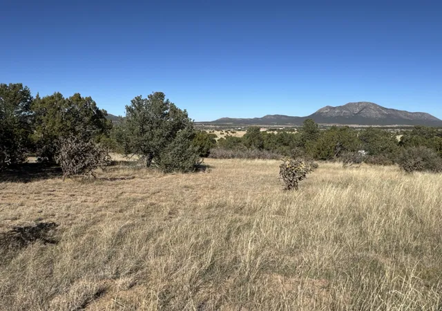Photo 2 of Land for sale at Lot 254 Bolivar Loop, Tijeras, NM 87059 | MLS# 1094556 | Listing updated on 2026-07-22
