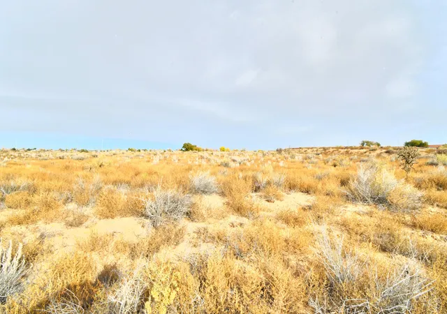 Photo 3 of Land for sale at 321 11th Ave Se, Rio Rancho, NM 87124 | MLS# 1094843 | Listing updated on 2026-07-22