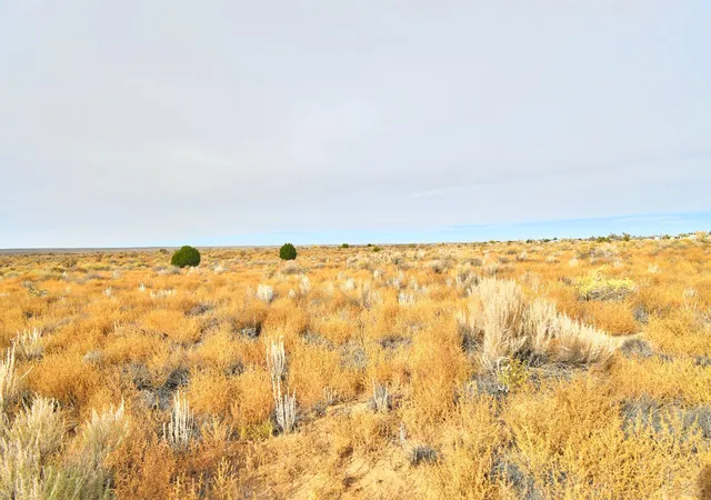 Photo 3 of Land for sale at 321 11Th Ave Se, Rio Rancho, NM 87124 | MLS# 1094843 | Listing updated on 2026-07-22