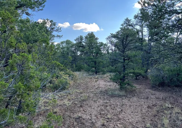 Homes for sale in Edgewood, NM | Lot R Mccomb Pass, Edgewood, NM 87015 | MLS# 1095119