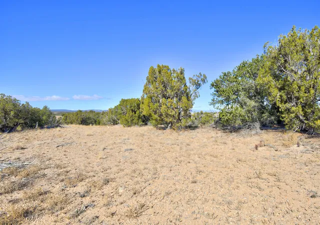 Photo 4 of Land for sale at 57 Cottonwood Trl, Sandia Park, NM 87047 | MLS# 1095144 | Listing updated on 2026-07-21