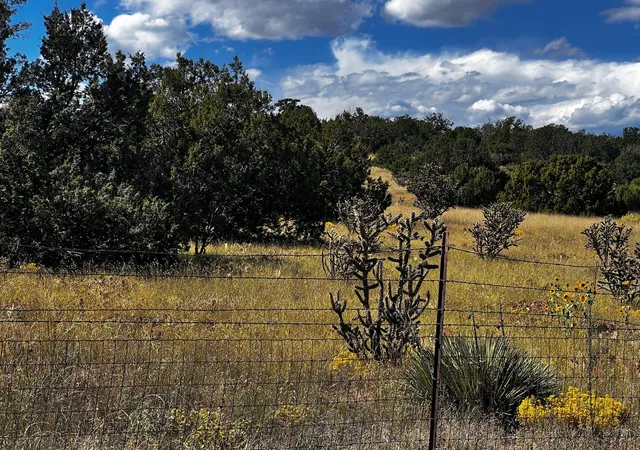 Photo 5 of Sale Pending at 2068 Old Hy 66 (nm333), Edgewood, NM 87015 | MLS# 1095340 | Listing updated on 2026-08-25