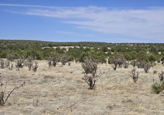 Photo 3 of Land for sale at 0 Oakwood Rd #2, Estancia, NM 87016 | MLS# 1095387 | Listing updated on 2026-07-22