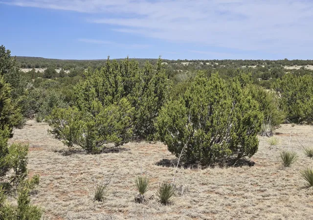 Photo 4 of Land for sale at 0 Oakwood Rd #2, Estancia, NM 87016 | MLS# 1095387 | Listing updated on 2026-07-22