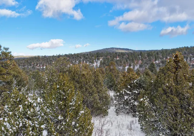 Photo 24 of Land for sale at 12 Moots Ct, Tijeras, NM 87059 | MLS# 1095515 | Listing updated on 2026-07-30