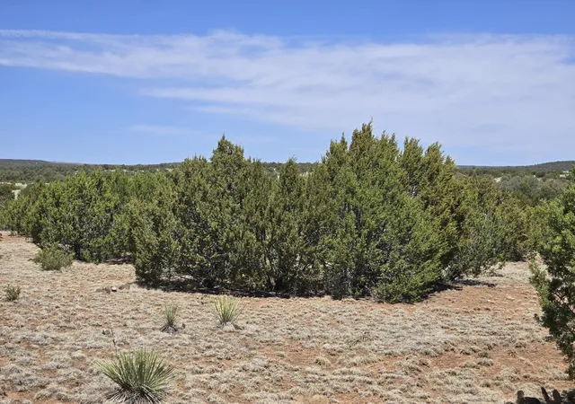 Photo 5 of Land for sale at 0 Oakwood Rd #8, Estancia, NM 87016 | MLS# 1095552 | Listing updated on 2026-07-22