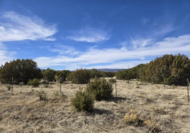 Photo 1 of Land for sale at 0 Rosewood Dr #12, Estancia, NM 87016 | MLS# 1095649 | Listing updated on 2026-07-21
