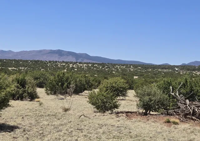 Photo 5 of Land for sale at 0 County Rd A102 #14, Torreon, NM 87061 | MLS# 1095686 | Listing updated on 2026-07-21