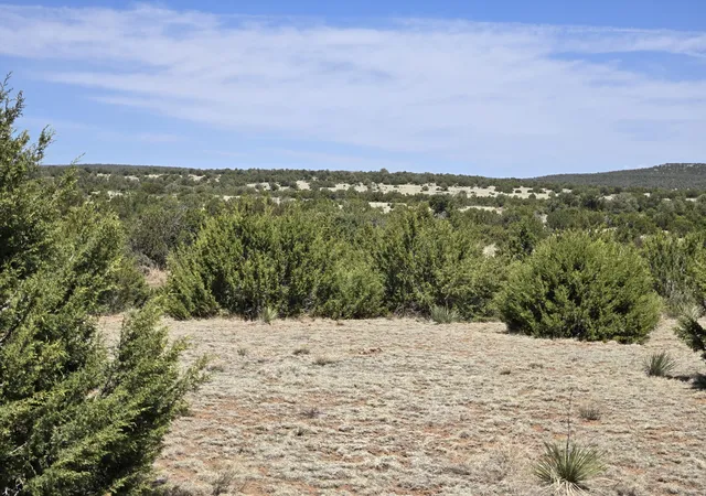 Photo 6 of Land for sale at 0 County Rd A102 #14, Torreon, NM 87061 | MLS# 1095686 | Listing updated on 2026-07-21