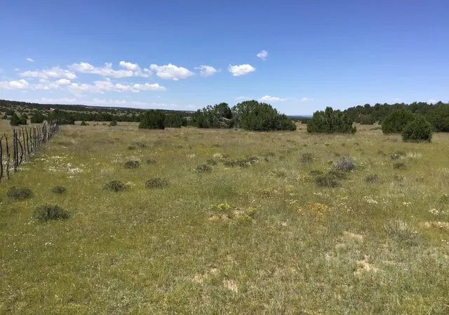 Homes for sale in Ramah, NM | Lot 1 Washout Rd, Ramah, NM 87321 | MLS# 1095814