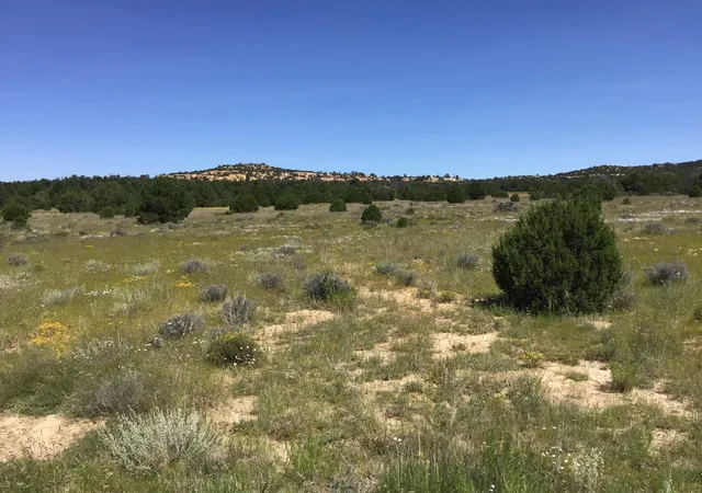 Homes for sale in Ramah, NM | Lot 1 Washout Rd, Ramah, NM 87321 | MLS# 1095814