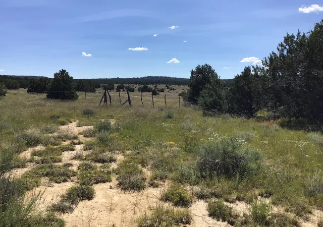 Homes for sale in Ramah, NM | Lot 1 Washout Rd, Ramah, NM 87321 | MLS# 1095814