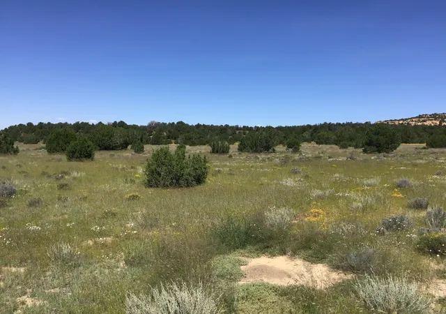 Homes for sale in Ramah, NM | Lot 1 Washout Rd, Ramah, NM 87321 | MLS# 1095814