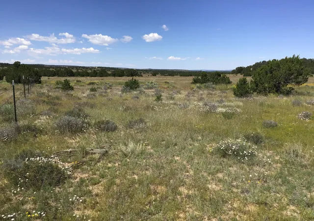 Homes for sale in Ramah, NM | Lot 1 Washout Rd, Ramah, NM 87321 | MLS# 1095814