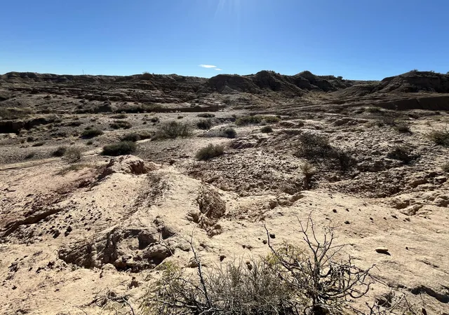 5th image of Lot: 5C Erica Lane, Belen, NM 87002 | MLS# 1095825