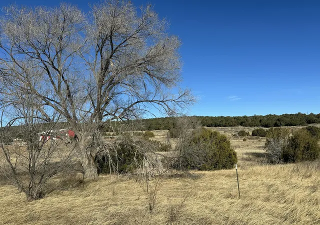 Photo 2 of Land for sale at 108 Brannan Rd, Tijeras, NM 87059 | MLS# 1095991 | Listing updated on 2026-07-21
