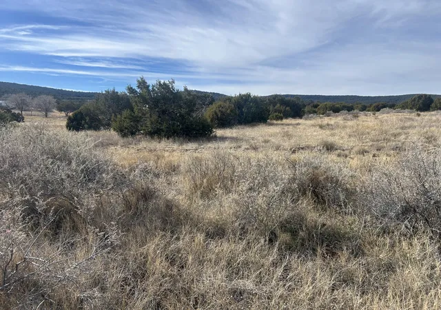 Photo 2 of Land for sale at 108 Brannan Rd, Tijeras, NM 87059 | MLS# 1095991 | Listing updated on 2026-07-21
