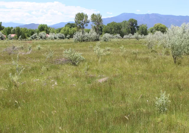 Photo 2 of Land for sale at La Senisa Rd, Taos, NM 87571 | MLS# 1096146 | Listing updated on 2026-08-25